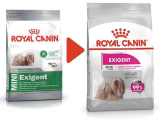 Royal Canin , корм для собак - " Mini Exigent " c доставкой по Кишиневу.