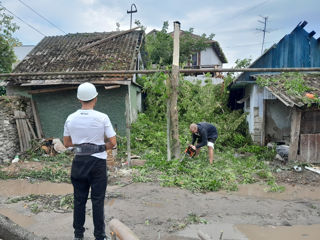 Curațirea terenului si evacuarea gunoiului. foto 6