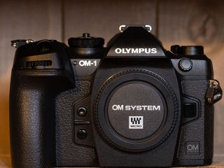 Olympus EM1x perfect foto 9