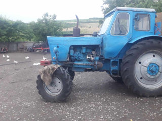 Vind tractor MTZ 52 și Hersoneț pe 2 rânduri