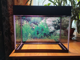 Продам новый аквариум. foto 6
