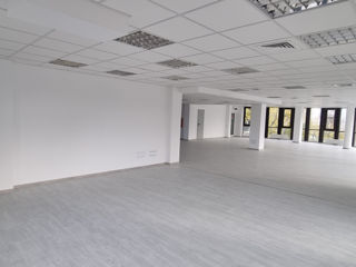 Офис Open Space 296 м2 для IT-компании, Call-центра и др. Sfatul Tarii 15 foto 6