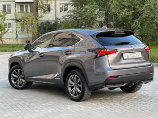 Lexus NX Series foto 4