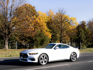 Ford Mustang, 2024