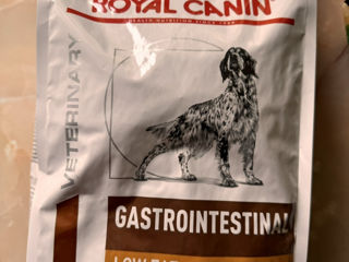 Royal Canin gastro.