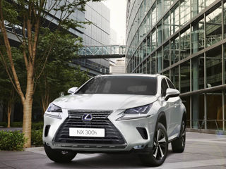 Piese Lexus NX