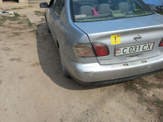 Nissan Primera