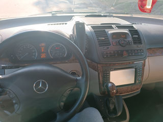 Mercedes Viano foto 3