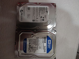 500gb western digital noi