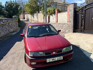 Nissan Primera foto 5