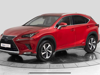 Lexus NX Series