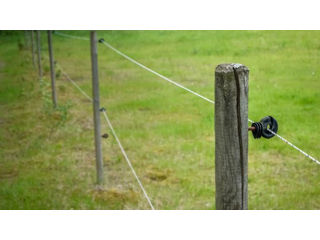 Gard electric pentru vaci, oi, capre, porci, cai foto 5