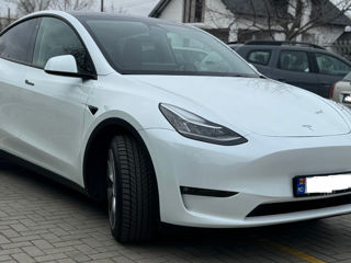 Tesla Model Y foto 3