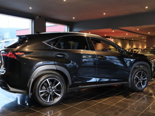 Lexus NX Series foto 3