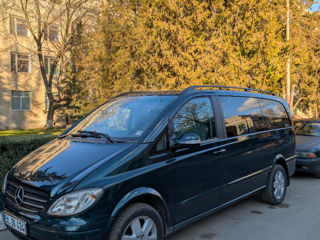 Mercedes Viano