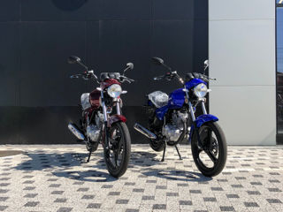 Wolf Motors 150cc Model 2024 foto 17