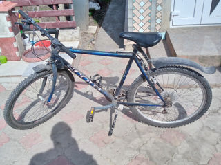 Bicicleta foto 2