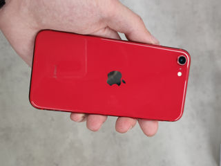 Apple IPhone SE (2020) 64Gb Red Reused foto 2