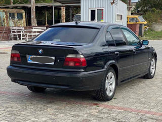 BMW 5 Series foto 5