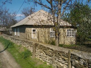 Se vinde casă de piatră în Sănătăuca , Floreşti,(Сенатовка, Сэнэтэука село района Флорешть,торг) foto 1