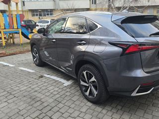 Lexus NX Series foto 5