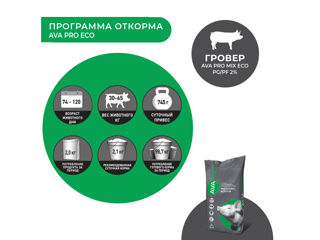 Premix pentru porci de la 30-110 kg AVA PRO MIX ECO PG/PF 2%. 25 kg foto 3