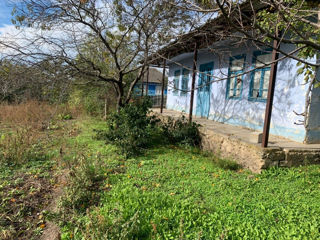 Vând casa/teren în satul Pruteni r. Fălești foto 4