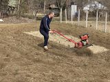 Curatirea terenului agaroade gradini de deseuri sapam cosim iarba foto 9