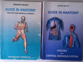 Guide in anatomy. Manuale. Учебники.