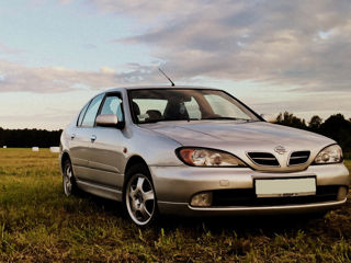 Nissan Primera p 11.144 la piese