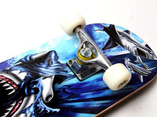 Skateboards скейтборды / Ролики foto 6