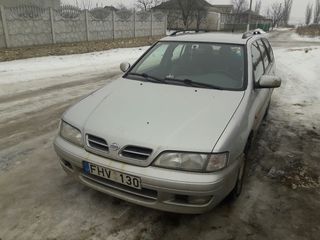 Nissan Primera foto 3