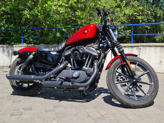 Harley - davidson iron 883 foto 3