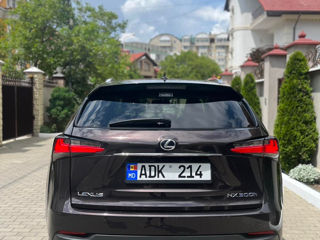 Lexus NX Series foto 3