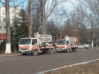 Chirie Autoturn ! Taierea copacilor in toata Moldova ! foto 14