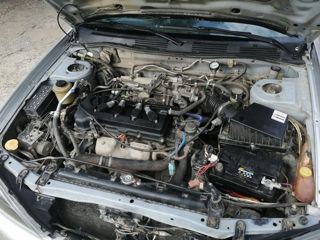 Nissan Primera foto 3