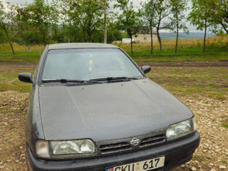 Nissan Primera foto 5