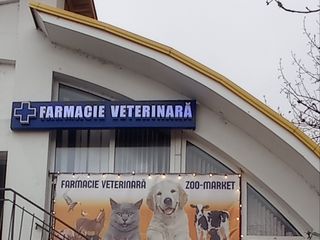 Farmacie  și Cabinet veterinar autorizat Ialoveni foto 2