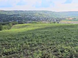 Se vinde teren agricol 40 ha foto 3