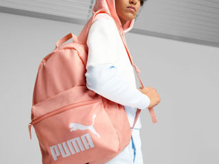 Puma noi