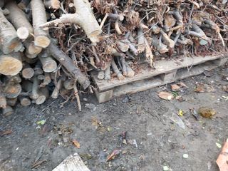 Резаные дрова 1200 лей за всё. foto 3