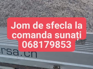 Jom de sfecla foto 2