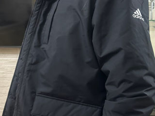 Parka adidas