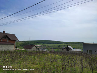 Teren pentru constructie Hincesti foto 12