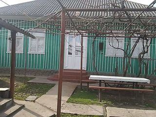 Продается дом в селе Маркауци Бричанского района по всем вопросам звонить по телефону foto 3