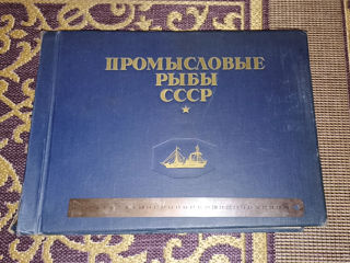 Продам альбом Промысловые рыбы СССР 1949 года foto 10