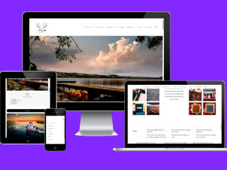 Creare Landing Page + Factură pe companie foto 4