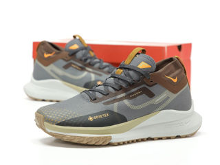 Nike Pegasus Trail 4 Gore-Tex Grey foto 2