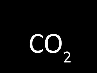 Gaz lichefiat CO2, calitate europeana. Углекислый газ CO2 европейское качество