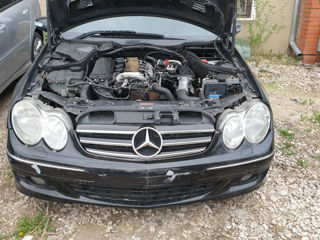 Mersedes Clk W209 foto 3